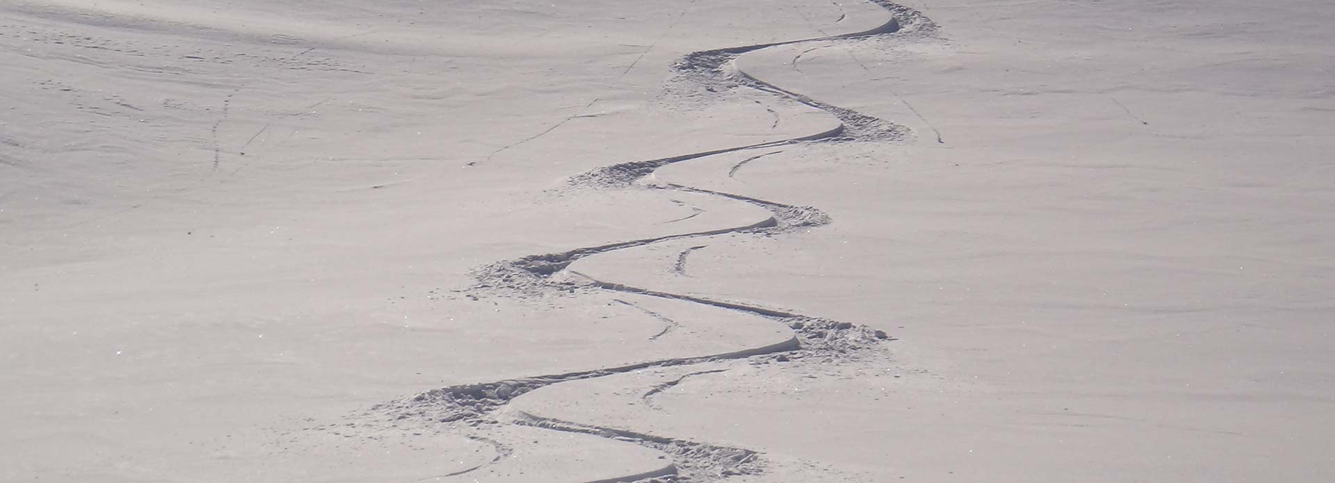 Freeride Skischool Saalbach